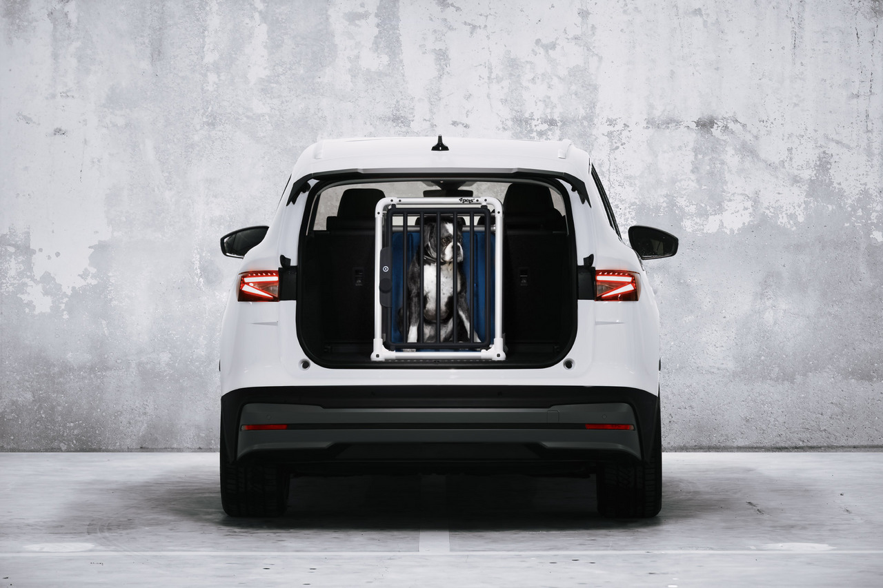 4pets Hundetransportbox, stabil & sicher, für Hunde, ideal für Tierhalter, mittelgroßer Hund, sicherer Transport im Auto.