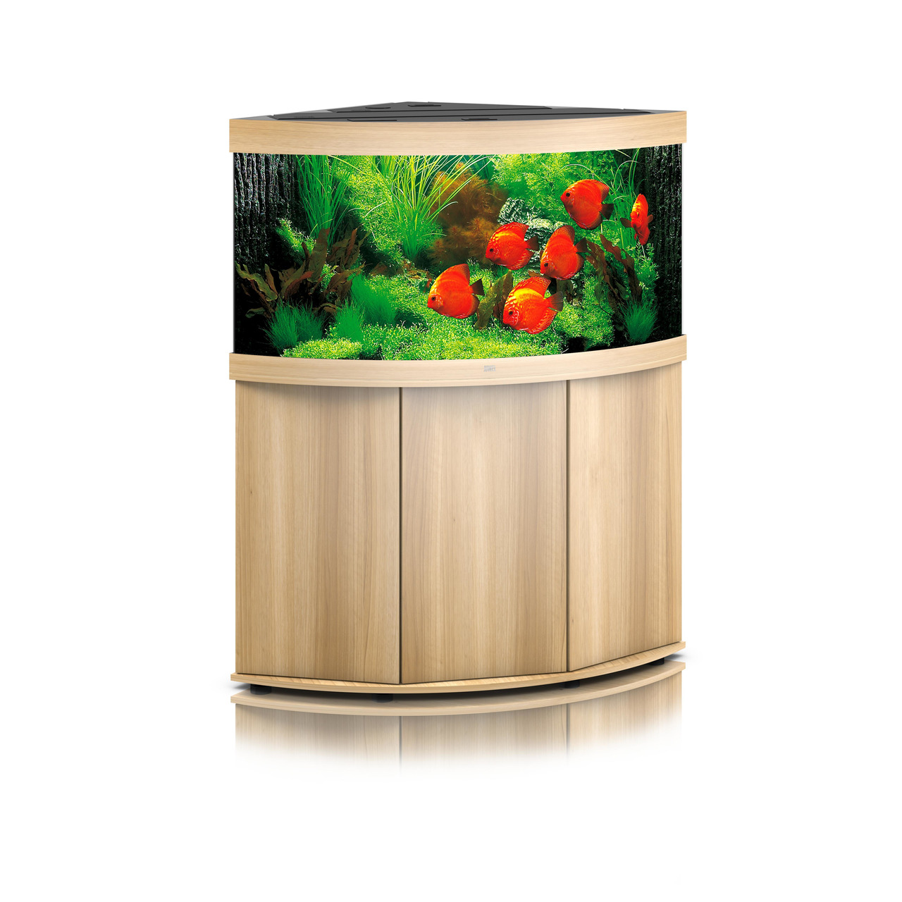 JUWEL Aquarium Trigon 190, Eck-Aquarium, 190 L, helle Holzoptik, gebogene Front, ideal für Süßwasserfische, platzsparend, hochwertig.