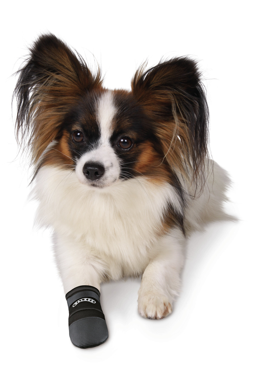 TRIXIE Pfotenschutz für Hunde, schwarz, robust & rutschfest, Schutz bei Verletzungen/empfindl. Pfoten, für kleine Hunde wie Papillon.