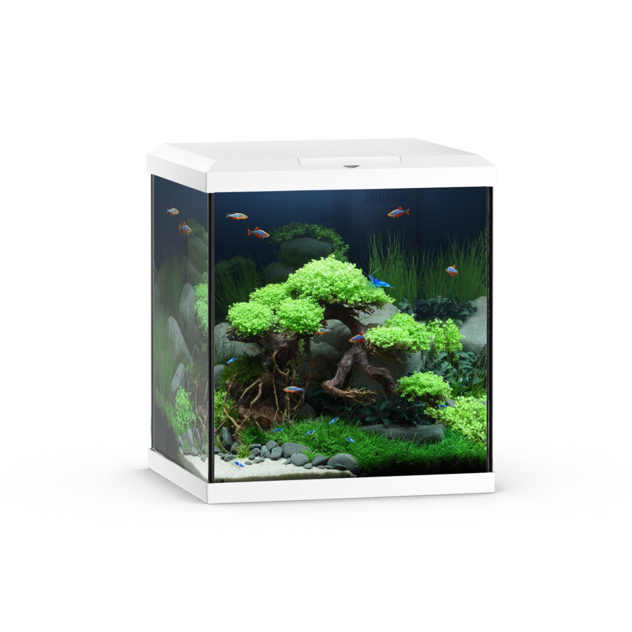 Aquarien-Set JUWEL LIDO 120 LED, 120 Liter, für Süßwasseraquarien, mit LED-Beleuchtung, Filtersystem und Heizer, weiß.
