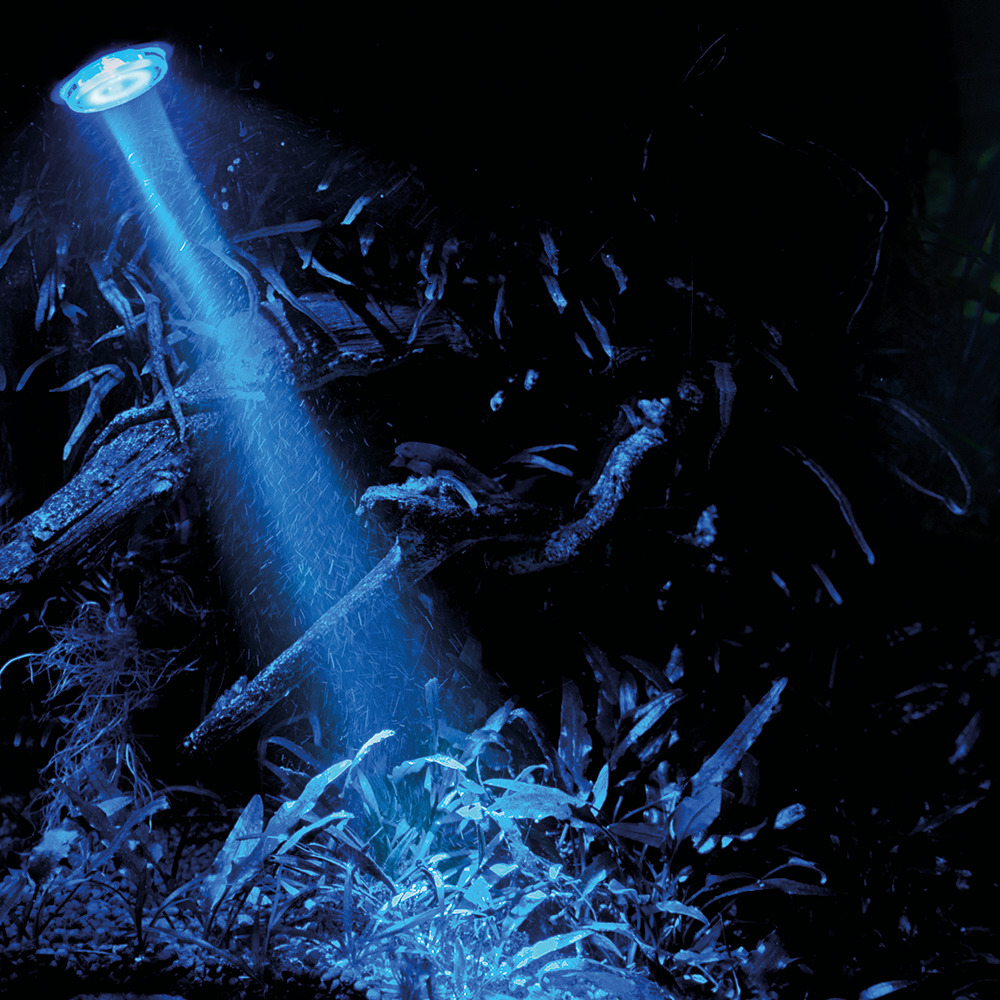 Das Bild zeigt die HOBBY Aqua Night LED-Leuchte, die speziell für Aquarien entwickelt wurde. Die Zielgruppe sind Aquarienbesitzer, die eine stimmungsvolle Beleuchtung für ihre Unterwasserwelt suchen. Die LED strahlt ein intensives blaues Licht aus, das di