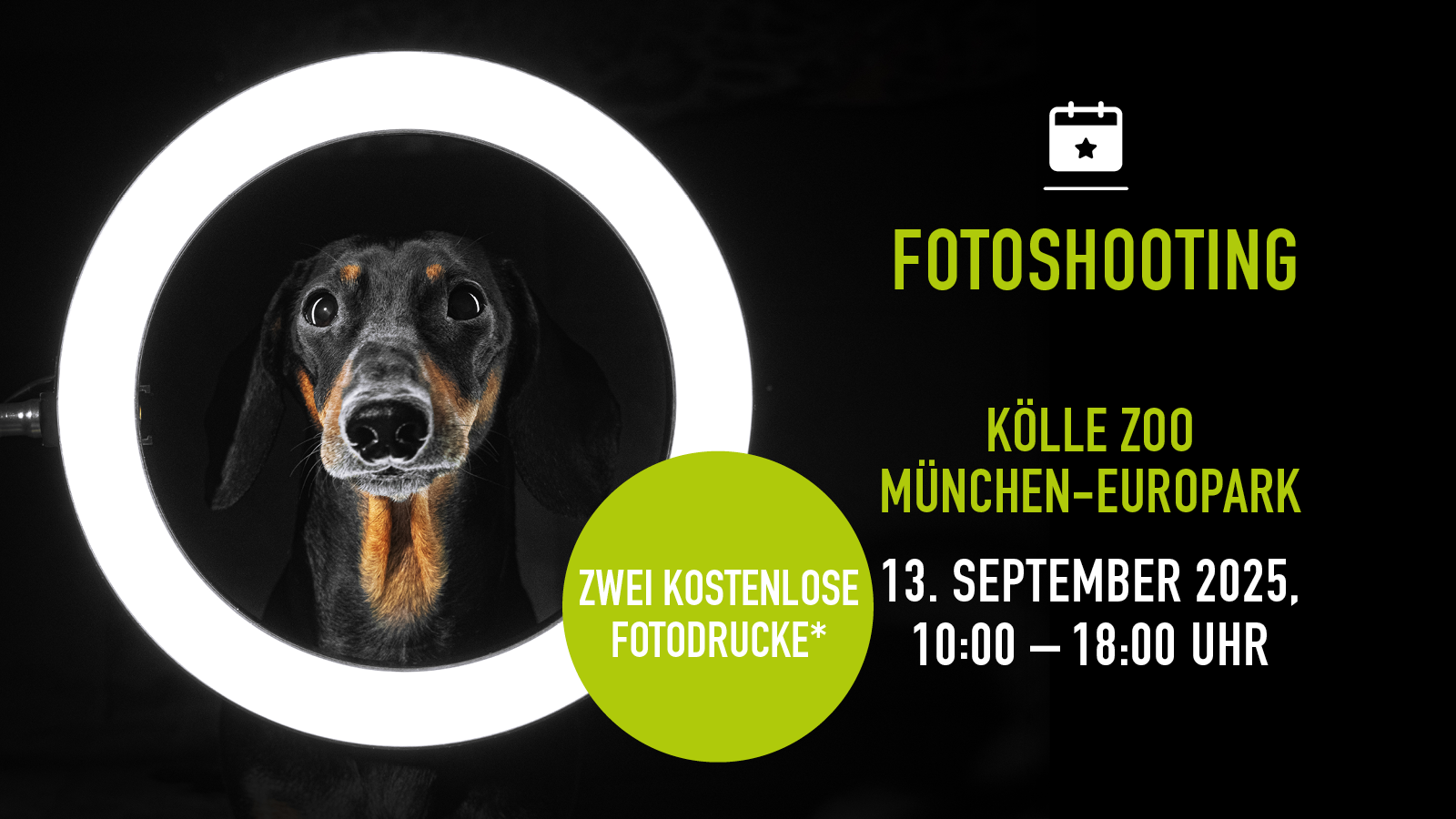 Kw36 0609 Shooting Muc Mobile