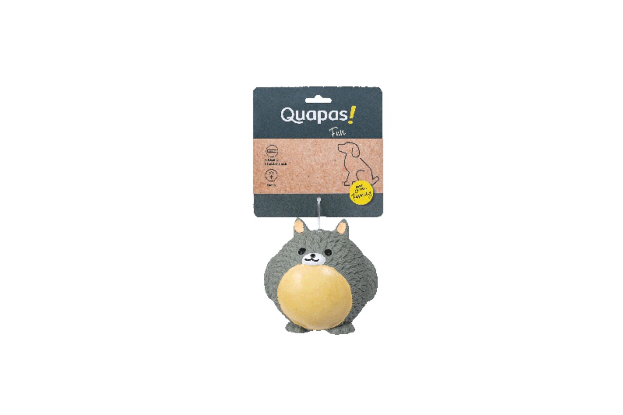 Quapas! Fun Chinchilla