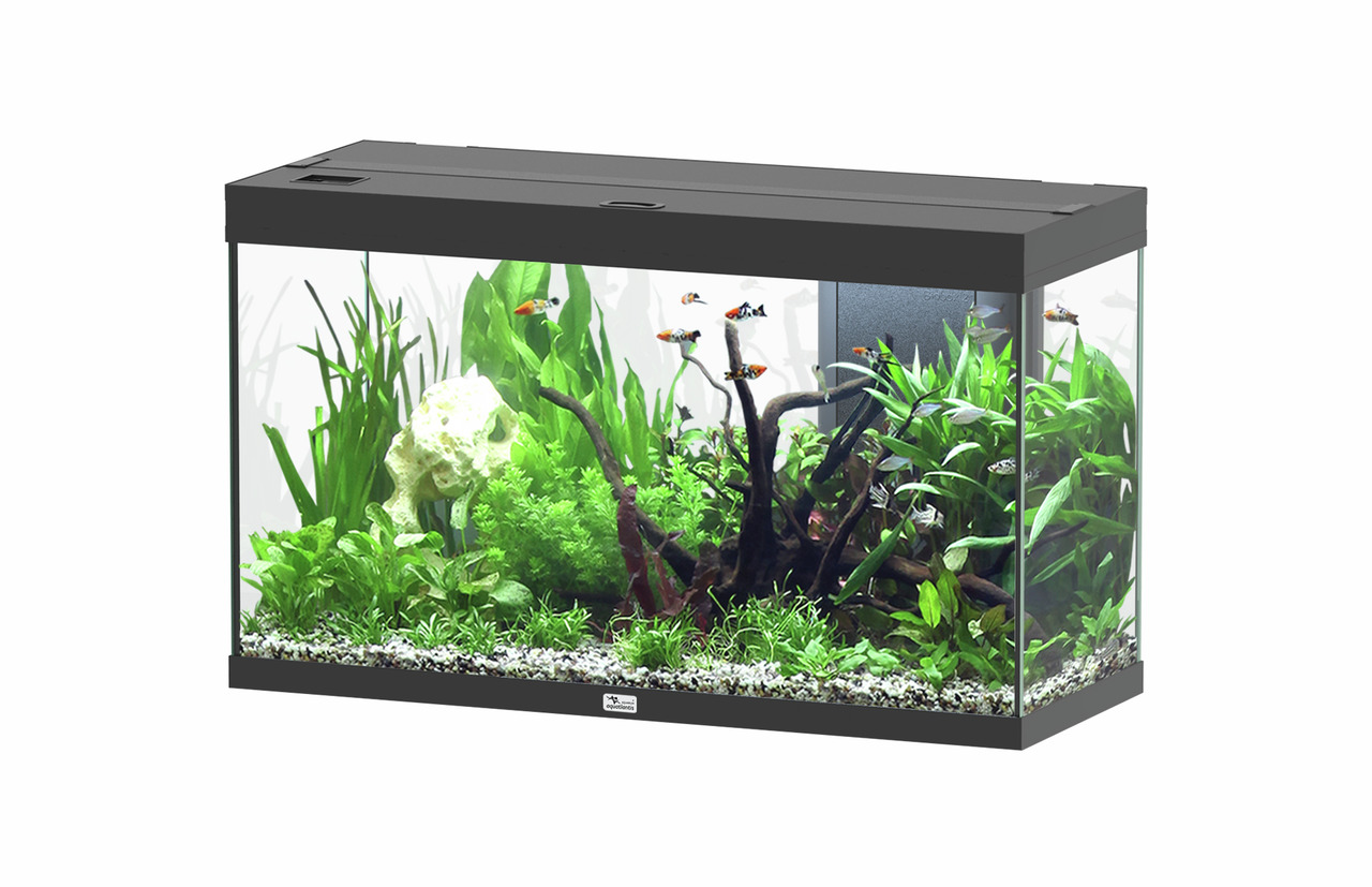 aquatlantis Splendid Ultra 200 schwarz Aquarium