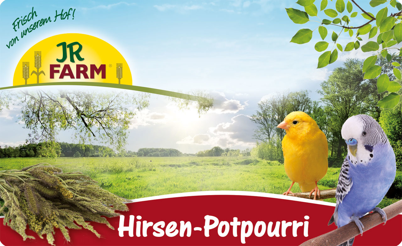 JR FARM Hirse-Potpourri, Futter f. Ziervögel (Wellensittiche, Kanarienvögel), natürliche Leckerei, versch. Hirsesorten.