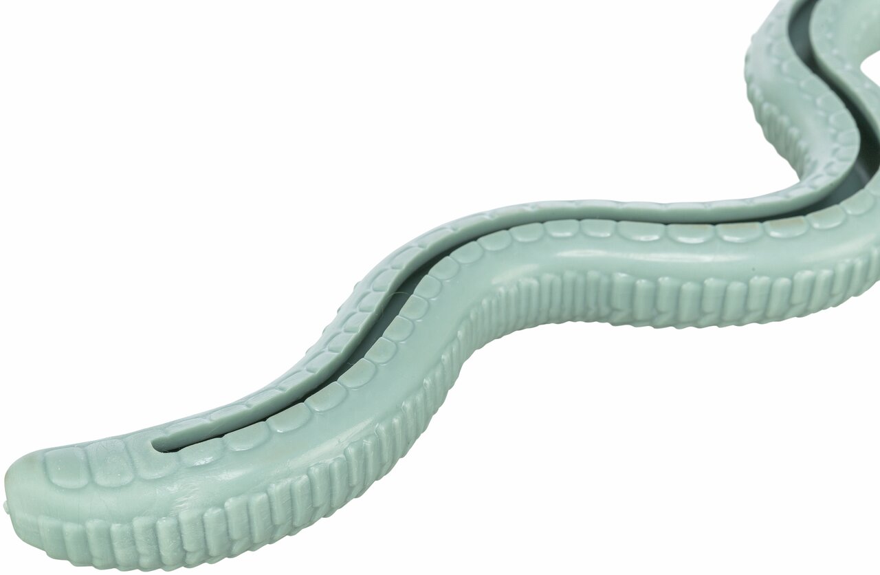 TRIXIE Kauspielzeug für Hunde, mintgrün, schlangenförmig, Zahnpflege, robust & langlebig, strukturierte Oberfläche.