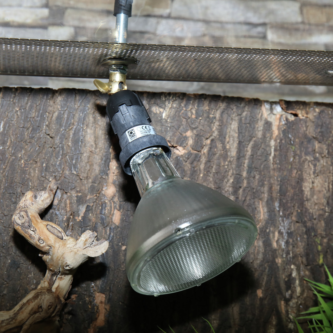 Auf dem Bild ist eine JBL ReptilSpot Halogenlampe zu sehen, die speziell für Terrarien entwickelt wurde. Sie ist an einem Gitter befestigt und strahlt Licht auf eine natürliche Holzoberfläche. Die Lampe eignet sich für Reptilien und Amphibien, um Wärme un