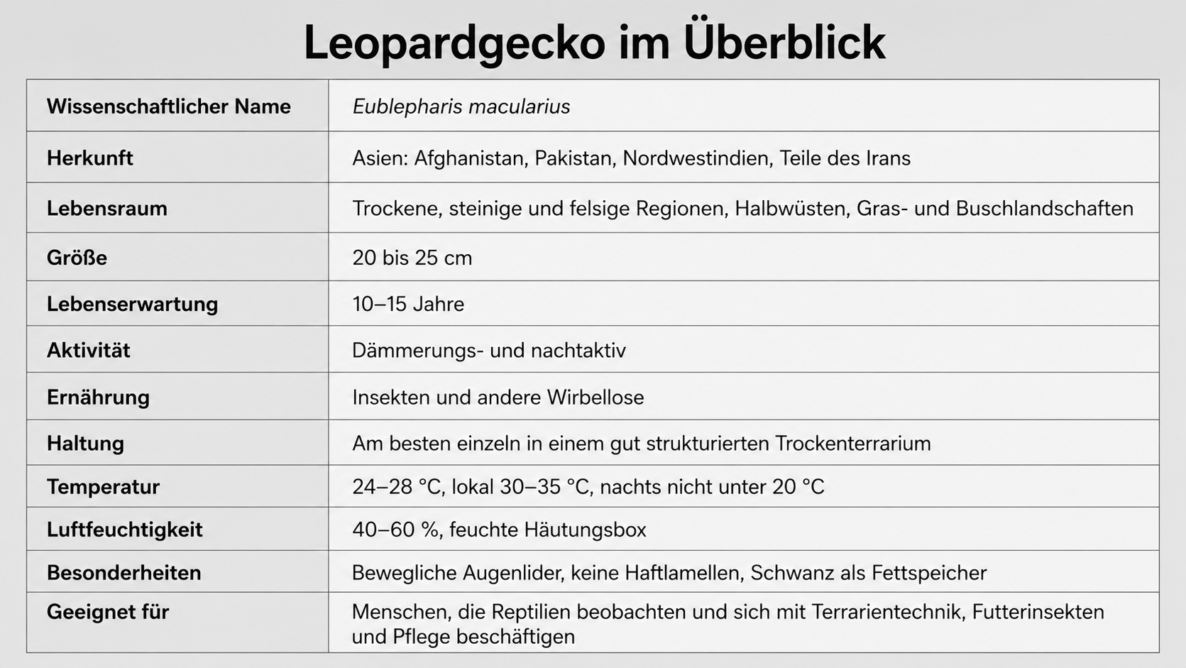 Tabelle mit Informationen im Überblick zum Leopardgecko