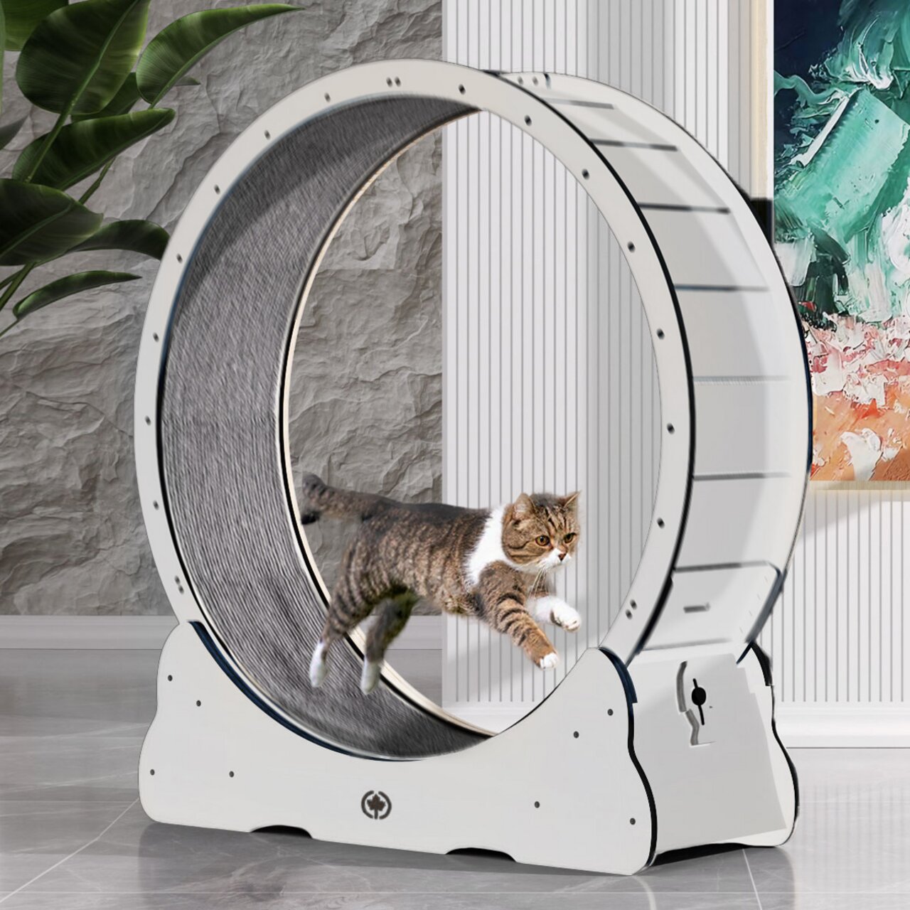 CanadianCat Katzenlaufrad, weiß, für aktive Hauskatzen, robuste Konstruktion, graue Lauffläche, ideal für Bewegung & Spiel drinnen.