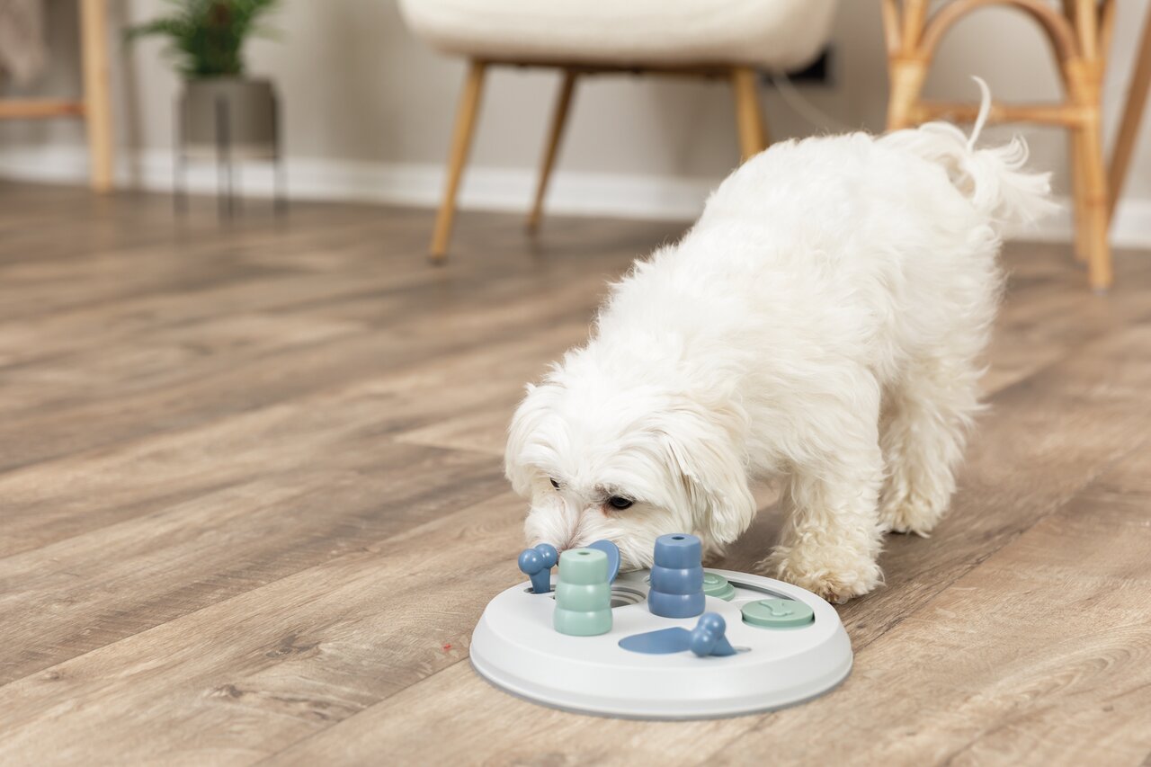TRIXIE Dog Activity Flip Board ø 23 cm Hundespielzeug