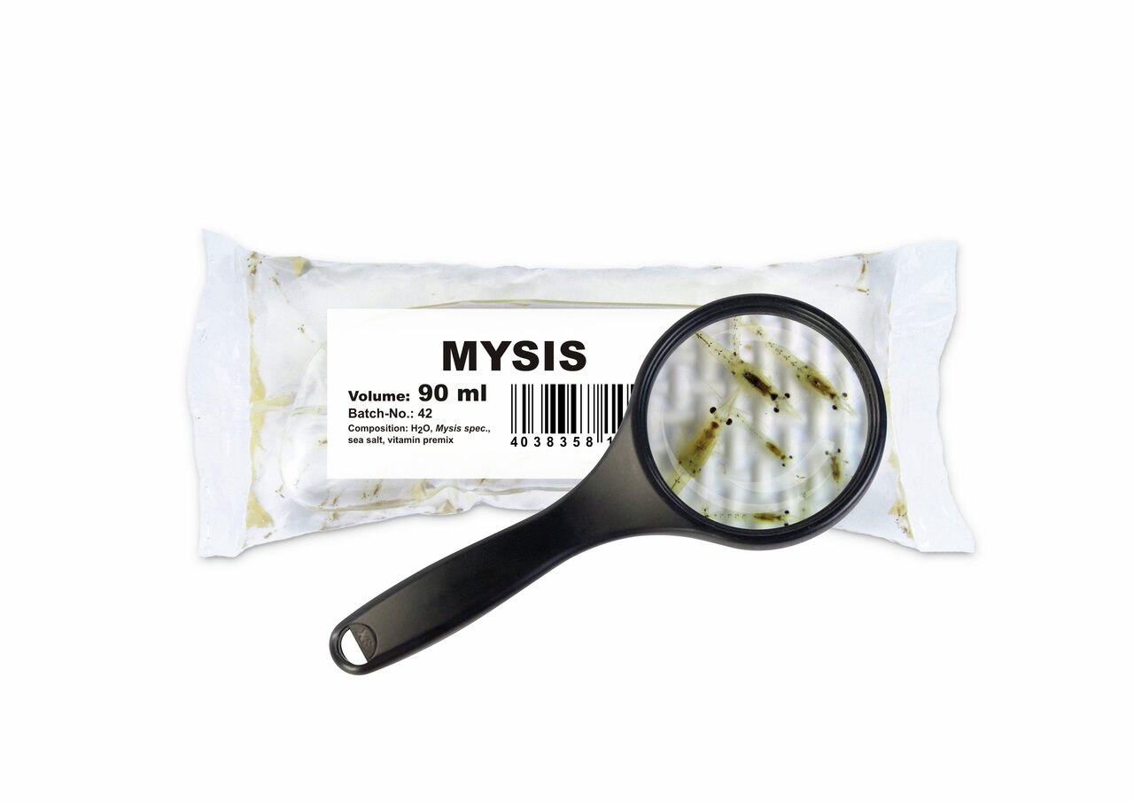 Frostfutter Amtra Mysis, 90 ml, für Zierfische. Enthält H2O, Mysis spec., Meersalz und Vitamin-Mix. Ideal für eine gesunde Ernährung.