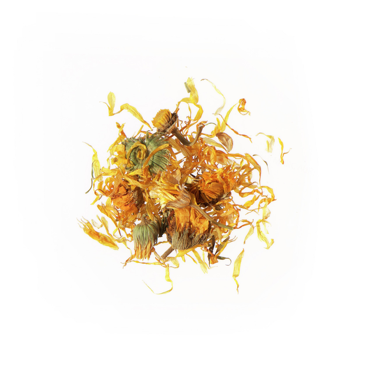 Agrobs Luzernecobs: Ergänzungsfutter f. Pferde, reich an Nährstoffen, aus Blüten & Pflanzenteilen, gesund & artgerecht.