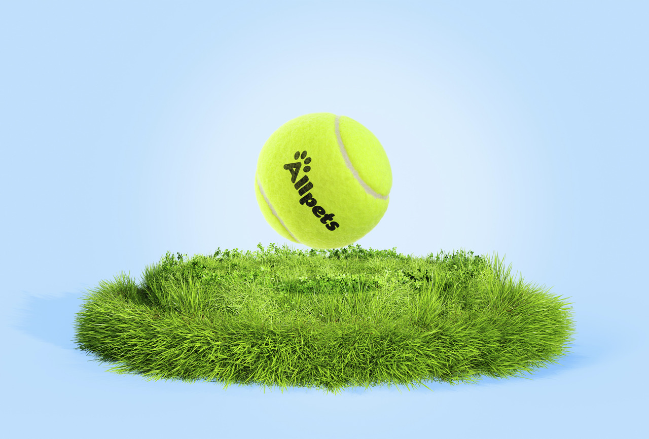 Allpets Tennisball für Hunde, gelb, mit Pfoten-Logo. Perfekt für aktive Hunde, die spielen & apportieren.