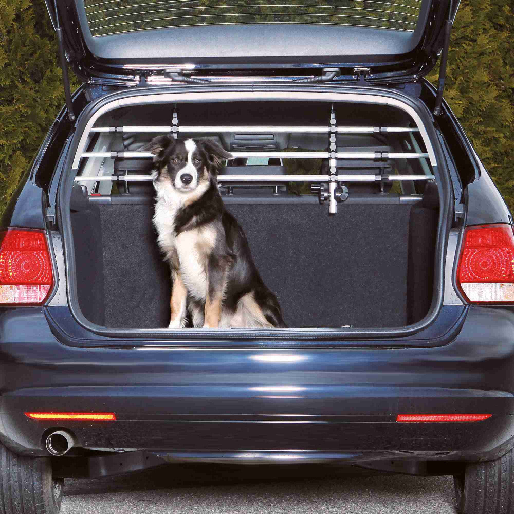 Das Bild zeigt einen schwarz-weißen Hund, der im geöffneten Kofferraum eines Autos sitzt. Zu sehen ist das TRIXIE Auto-Schutzgitter, das für die Sicherheit von Hunden während der Autofahrt sorgt. Zielgruppe sind Hundebesitzer. Das Schutzgitter ist verstel