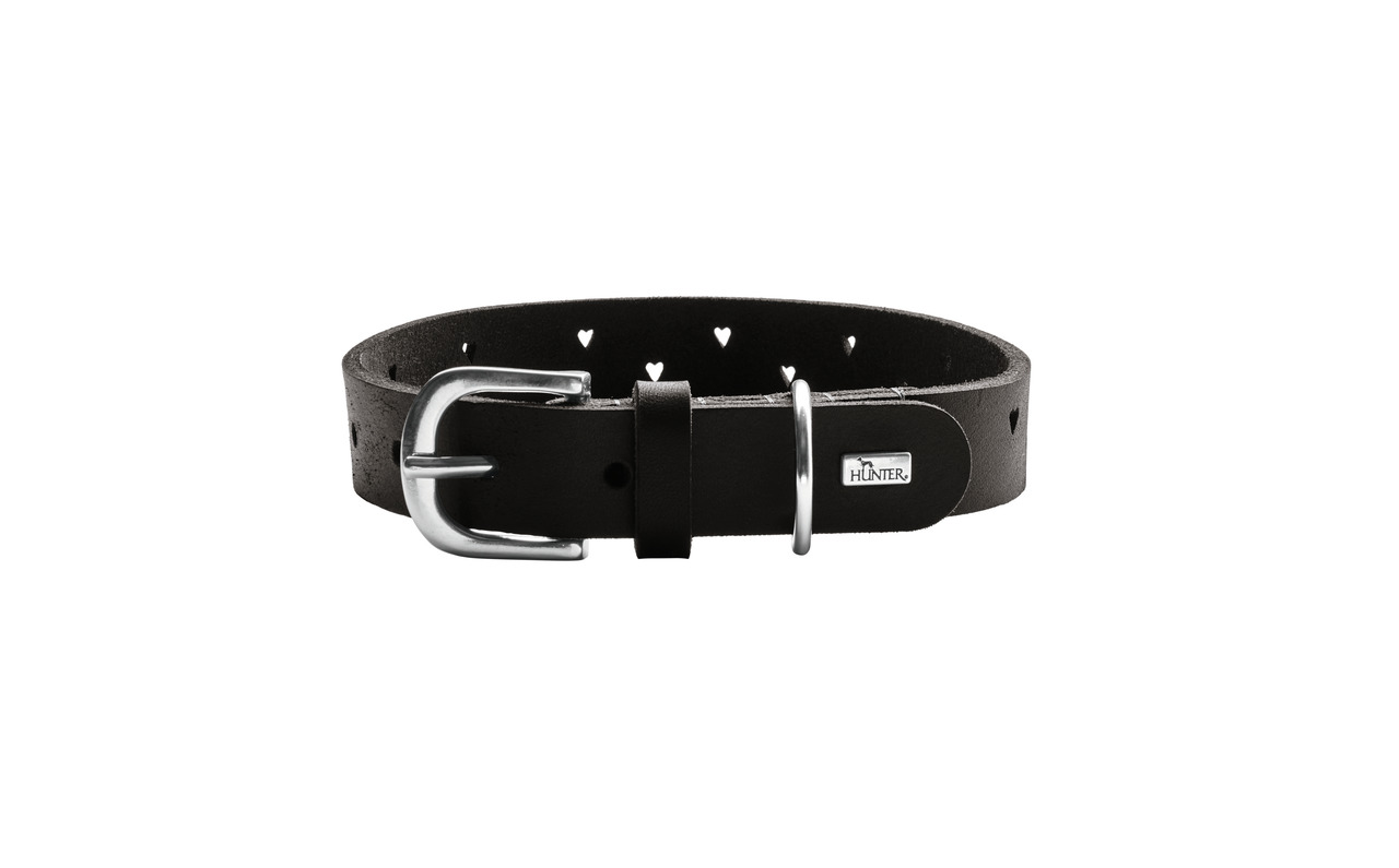 HUNTER Hundehalsband, Leder, silberne Schnalle & D-Ring, schlicht, elegant, Herzdesign, für alle Hunde, langlebig, Alltag.