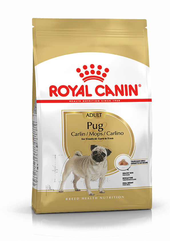 Das Bild zeigt eine goldfarbene Verpackung des Hundefutters „ROYAL CANIN Pug Adult“, speziell entwickelt für ausgewachsene Möpse ab einem Alter von 10 Monaten. Die Zielgruppe sind Hunde dieser Rasse. Das Futter unterstützt gesunde Haut, Muskeltonus und ei