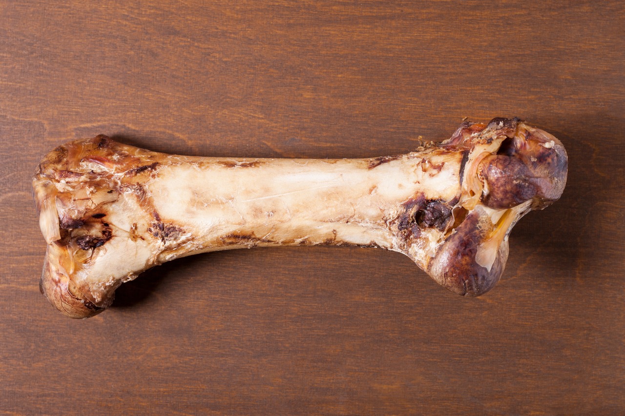 LOTTIS HÄPPCHEN Kauknochen für Hunde, Rind, natürl., Zahnpflege & Beschäftigung, für mittelgr.-gr. Hunde.