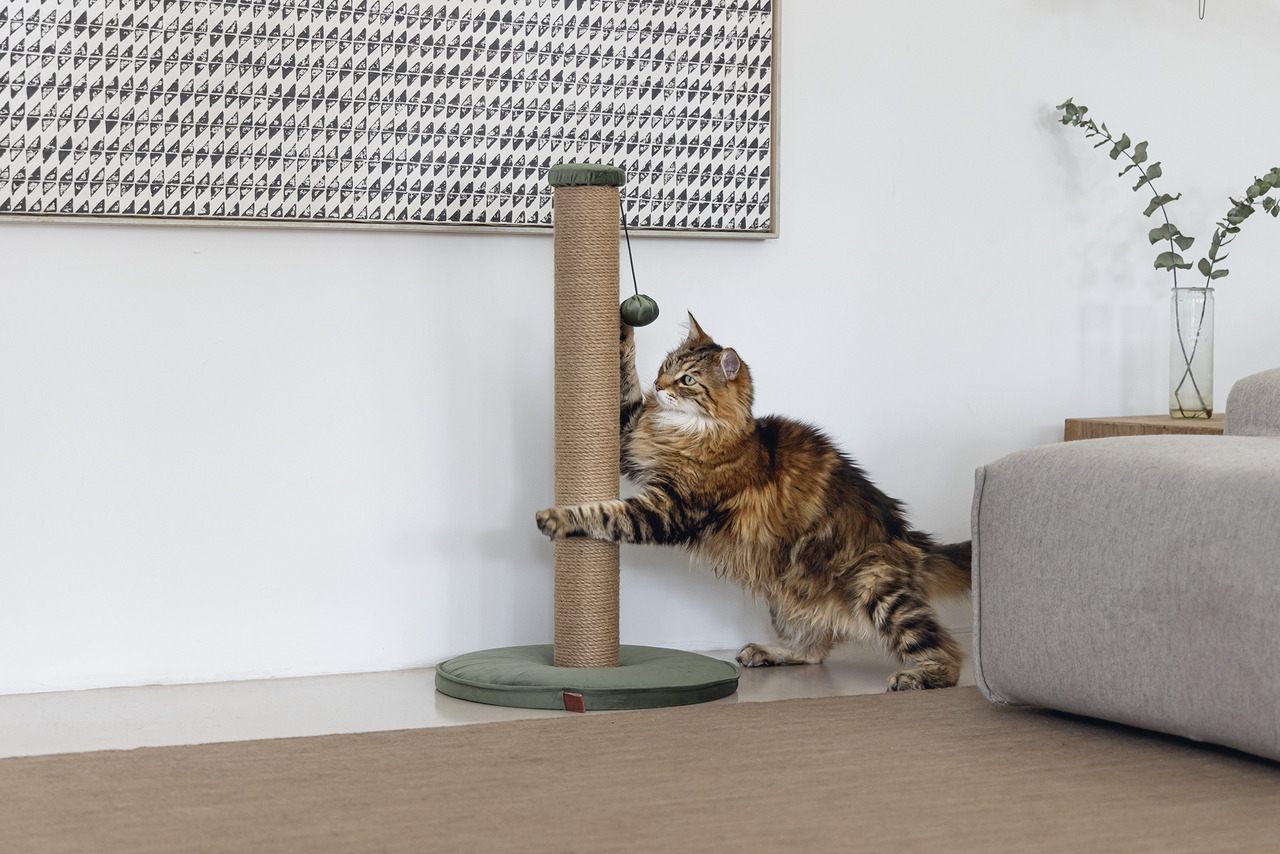 Kratzbaum „Designed by Lotte“ für Katzen aller Altersgruppen, Sisal-Säule, grüner Stofffuß, Spielball, ideal für aktive Katzen.