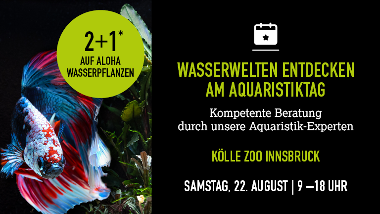 220826 Aquaristiktag Innsbruck Mobile 768x432px