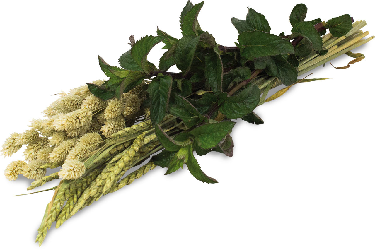 JR FARM Ein Stück Natur Kräuter-Ernte 80g Kleintierfutter
