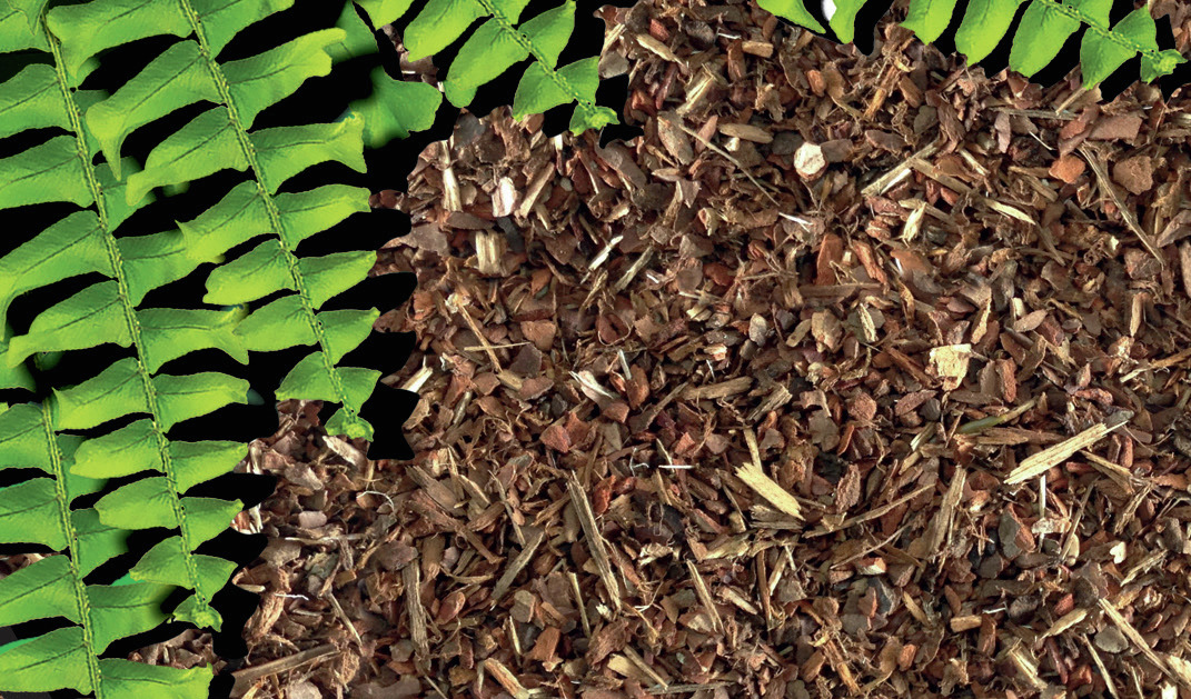 Exo Terra Plantation Soil, Substrat f. Reptilien-Amphibien, Kokosfaser, Feuchtigkeitsregulierung, Pflanzenwachstum, 3 Blöcke.