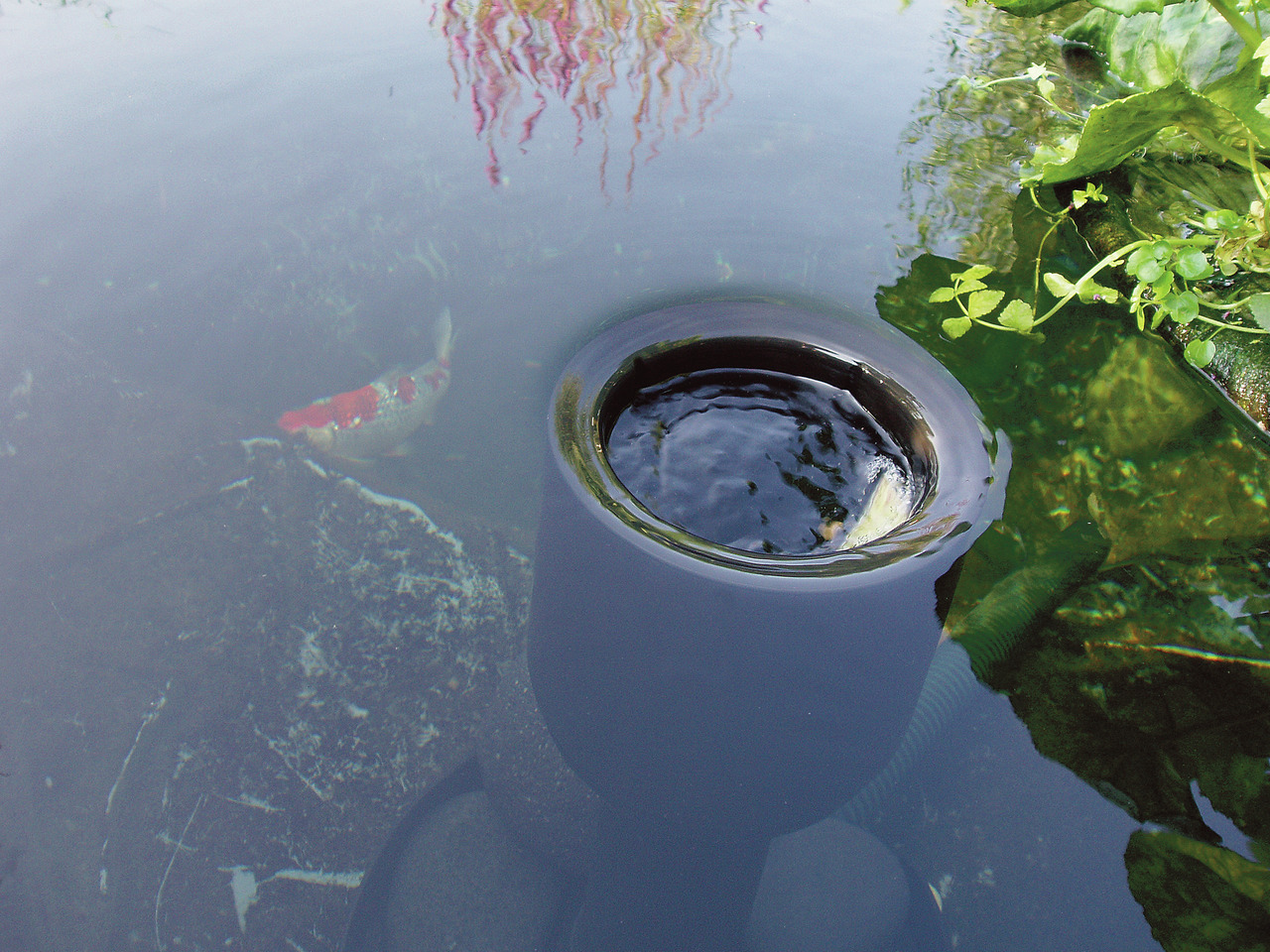 Oase AquaSkim 20 Oberflächenskimmer für Teiche, entfernt Blätter, Pollen & Schmutz, für klares Wasser, Menge: 1 Stk.