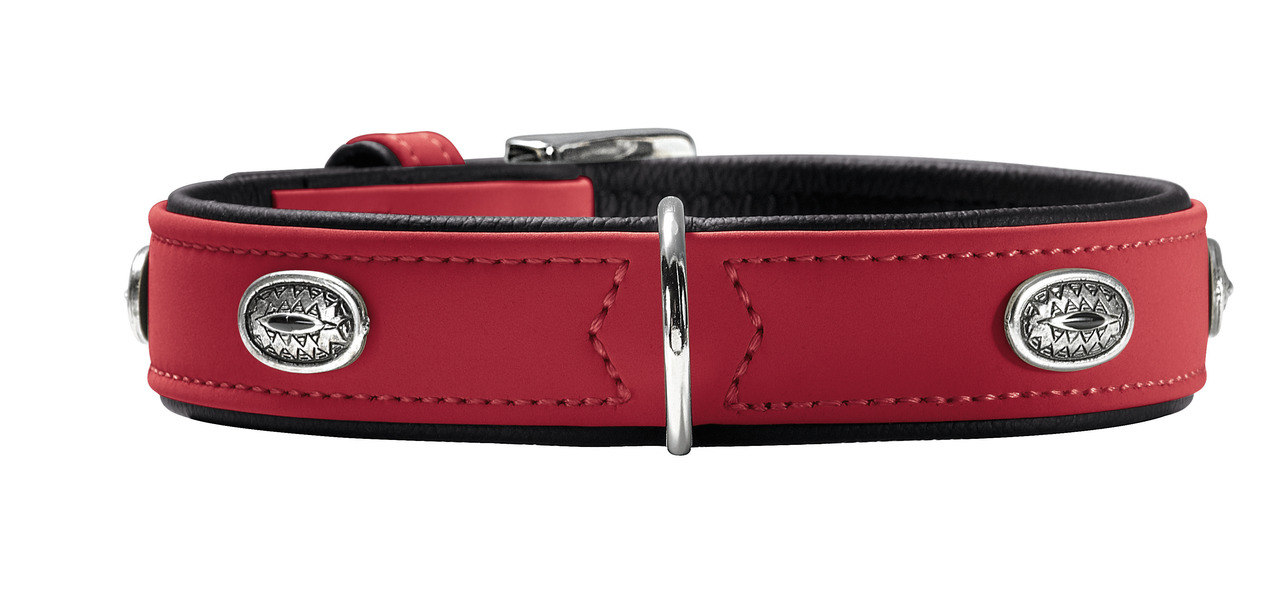 HUNTER Hundehalsband "Arizona", robustes Leder, silberne Applikationen, rot, für Hunde, stilvoll & bequem.