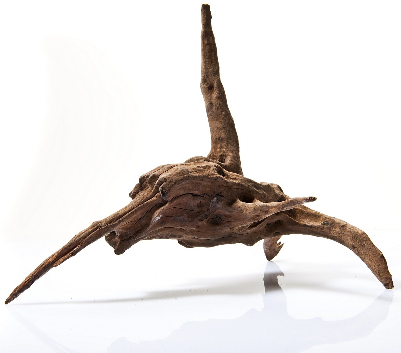 Aquadeco dekorative Wurzel für Aquarien, natürliches Design für Fischliebhaber, schadstofffrei, Maße: ca. 30 cm lang.