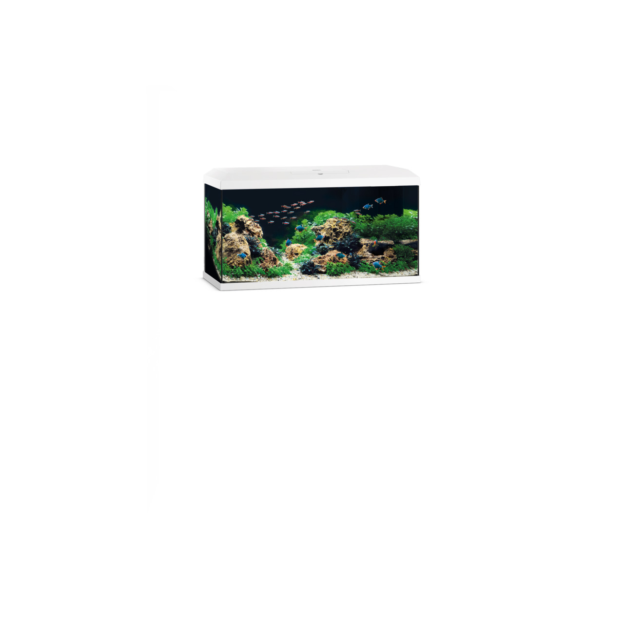 JUWEL Aquarium Rio 240 Weiß, für Süßwasserfische, 240 L, mit LED-Beleuchtung, ideal für Aquaristik-Enthusiasten.