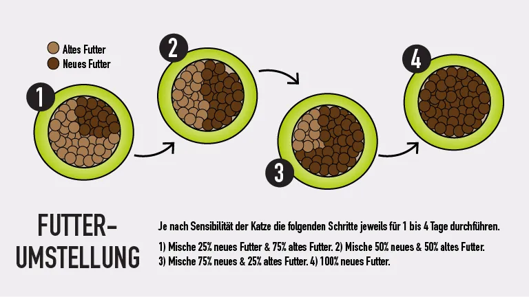 Vier Futterschüsseln zeigen schrittweise Mischung von altem mit neuem Katzenfutter.