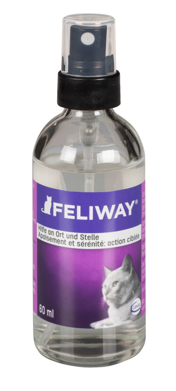 Feliway Classic Beruhigungsspray f. Katzen, 60 ml, reduziert Stress, fördert Wohlbefinden, lila Etikett m. Katzenmotiv.