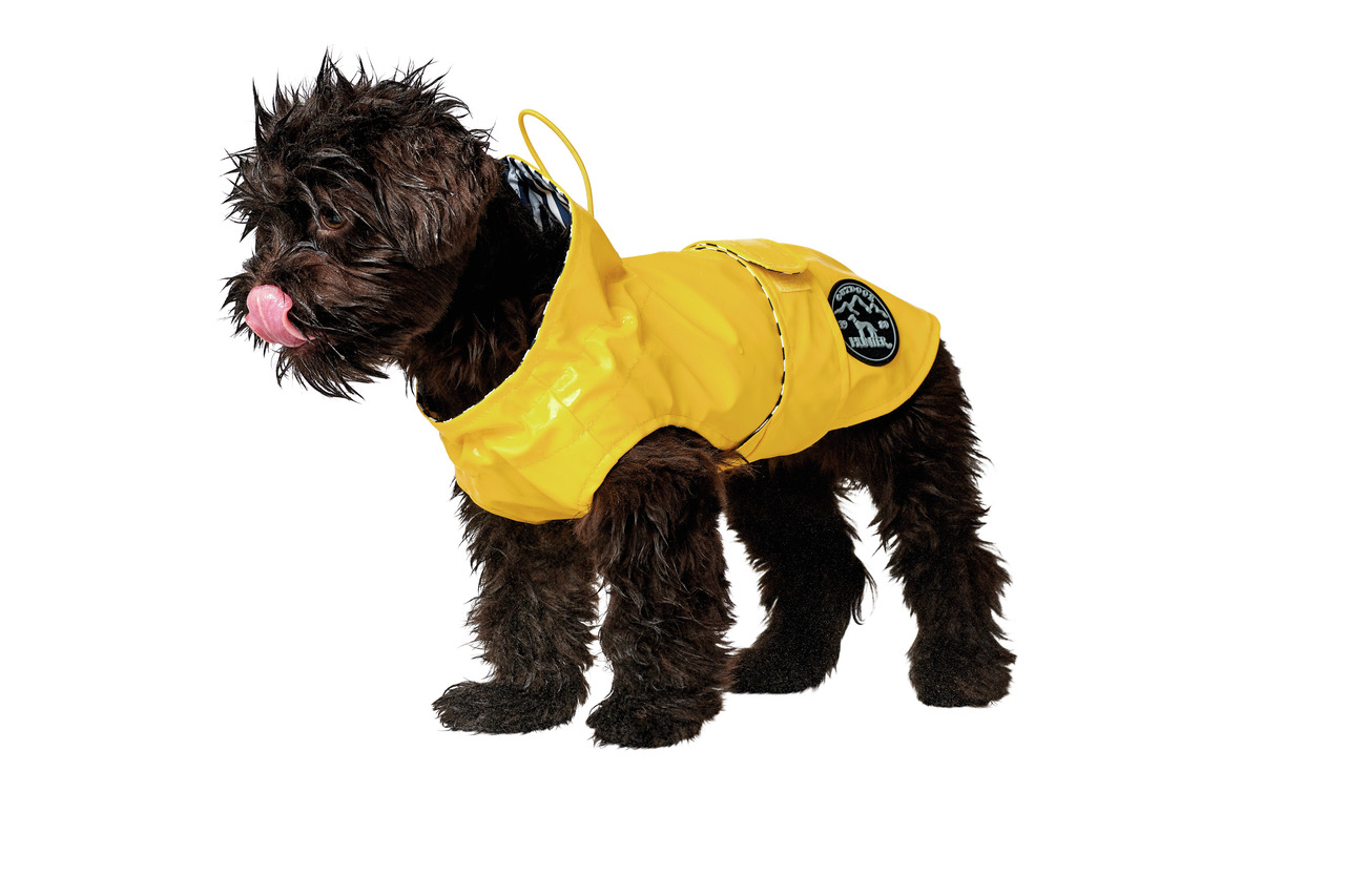 HUNTER Regenmantel für Hunde, gelb, schützt vor Nässe/Wind, reflektierendes Logo, ideal bei schlechtem Wetter. Zielgruppe: Hundehalter.