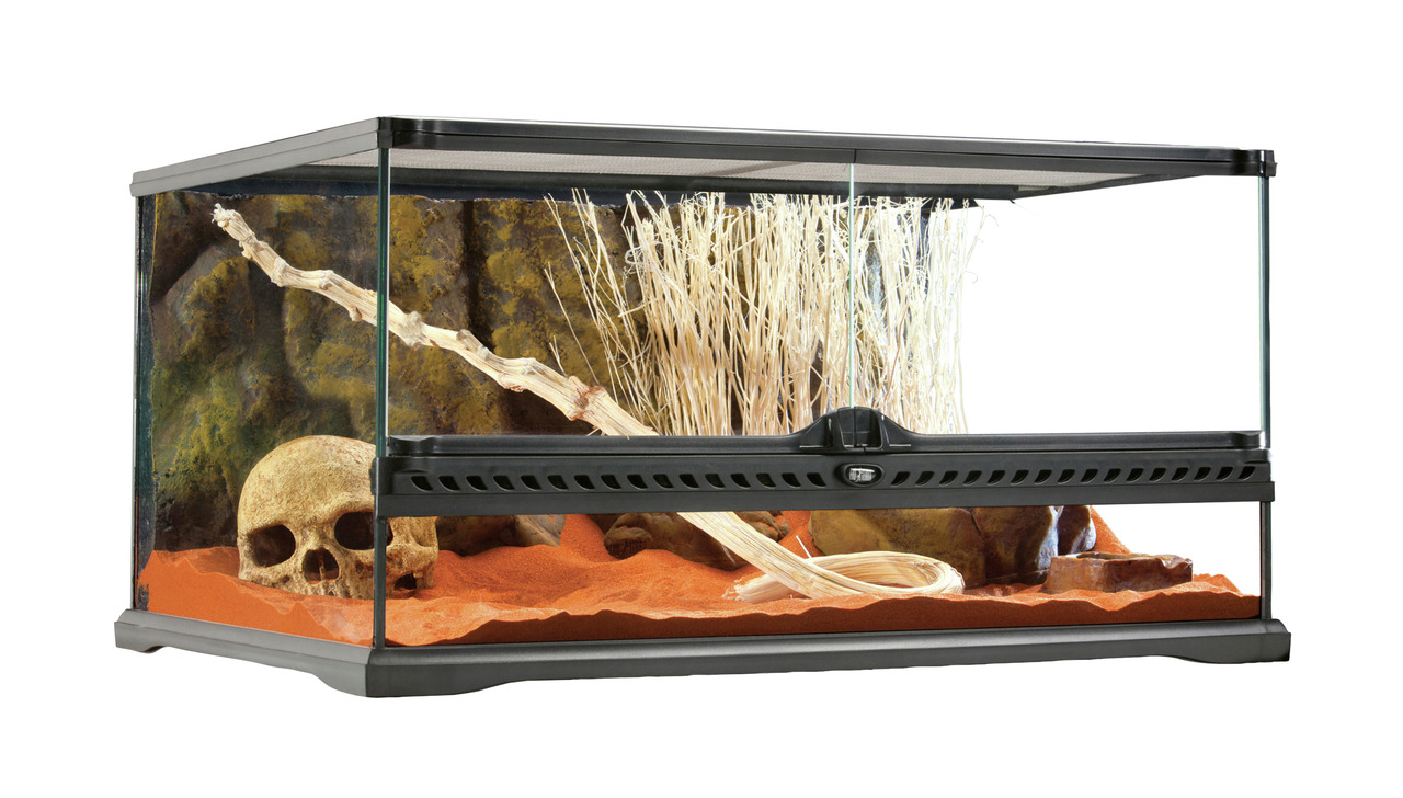 Exo Terra Glasterrarium Low 60 cm