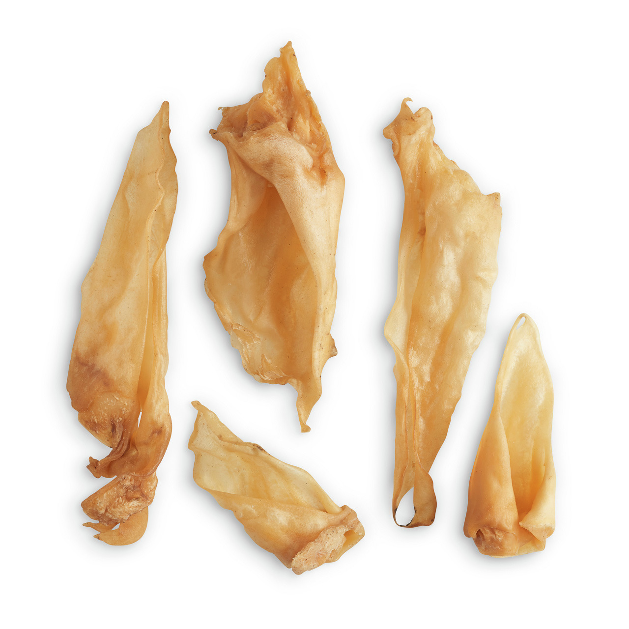 Das Bild zeigt getrocknete Rinderohren der Marke Lottis Häppchen, ein natürlicher Kausnack für Hunde. Die Zielgruppe sind Hunde aller Größen und Rassen. Die Rinderohren sind fettarm, proteinreich und unterstützen die Zahnpflege. Abgebildet sind fünf Stück