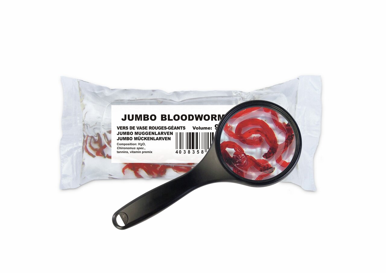 Gefrorene amtra Jumbo Mückenlarven für Zierfische, natürliche Proteinquelle, 100 g, deutlich vergrößert im Beutel abgebildet.