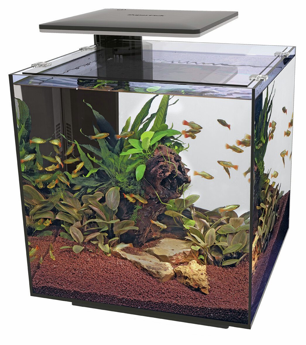 Superfish Home 25 Nano-Aquarium, LED-Beleuchtung, für Zierfische & Pflanzen, modernes Design, inkl. Bodengrund & Pflanzen.
