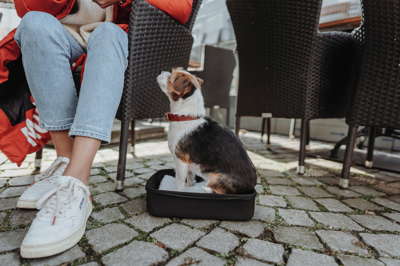 HUNTER Hundebett, schwarz, gepolstert, für kleine Hunde (z.B. Jack Russell Terrier), Komfort & Schutz, ideal für unterwegs.