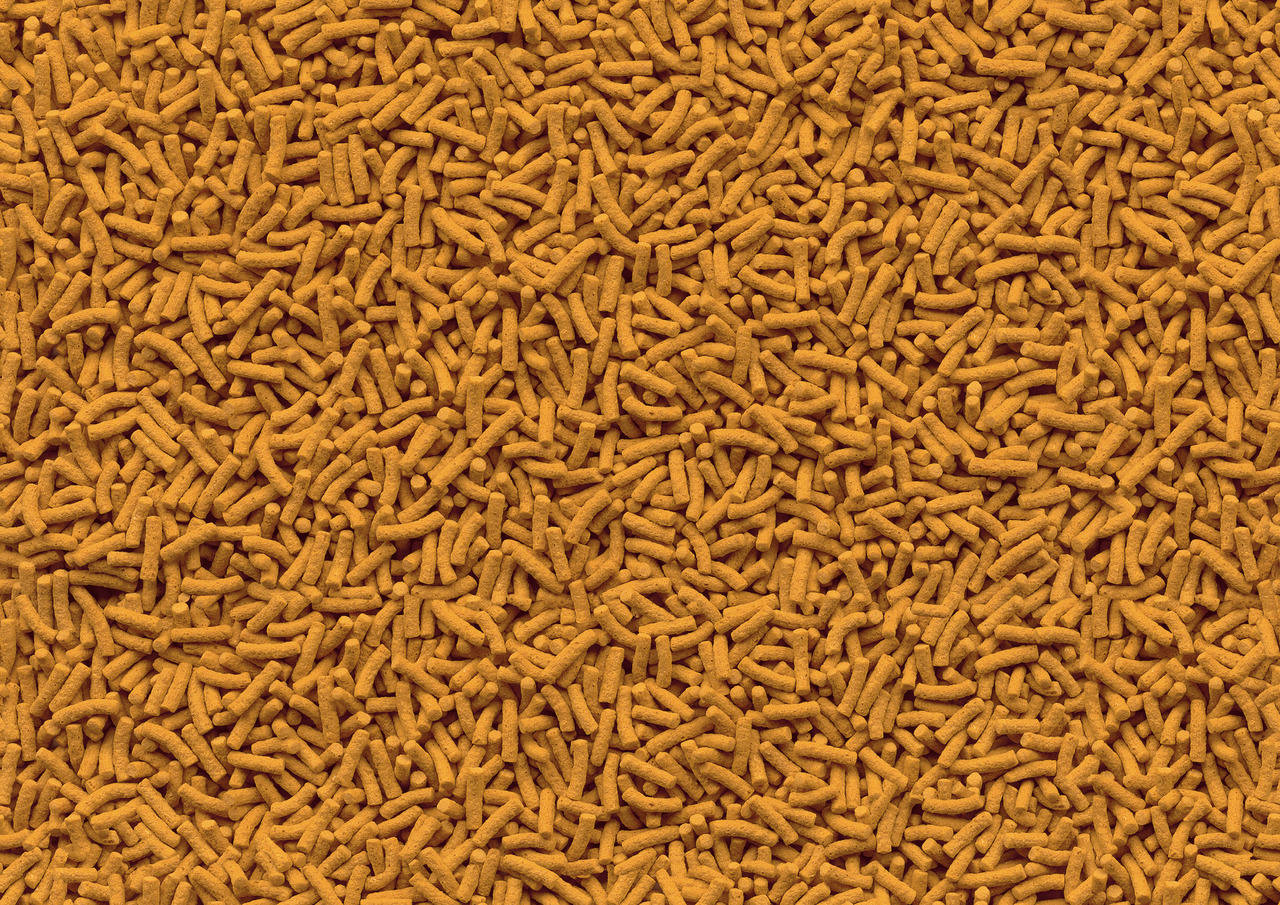 Alt-Text: Das Bild zeigt eine Nahaufnahme von Tetra Pond Sticks, einem schwimmenden Hauptfutter für Teichfische. Die orangefarbenen Sticks sind gleichmäßig verteilt und bieten eine ausgewogene Ernährung für alle Gartenteichfische. Geeignet für Koi und and