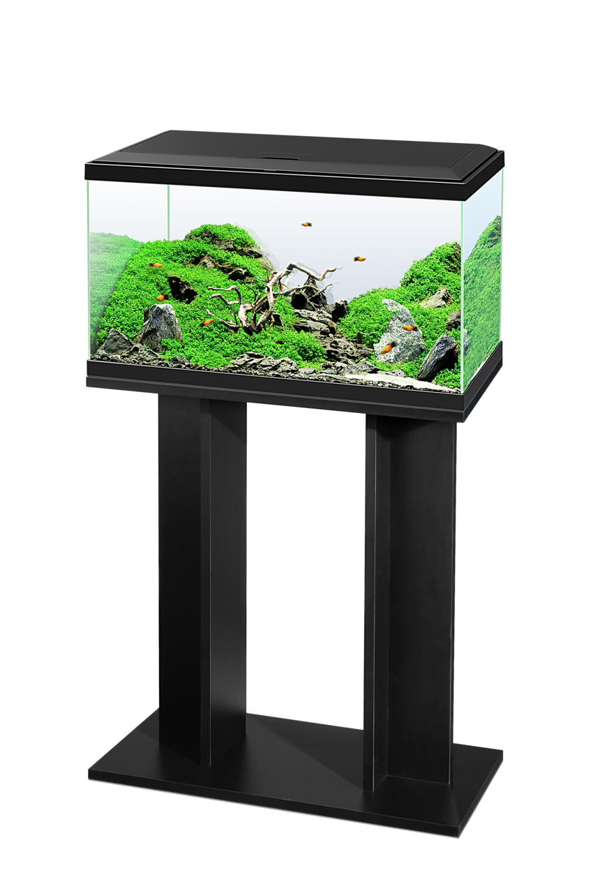 Ciano Aqua 60 Aquarium, inkl. Unterschrank, für Aquaristik-Fans, dekoriert mit Pflanzen, Steinen & Fischen.