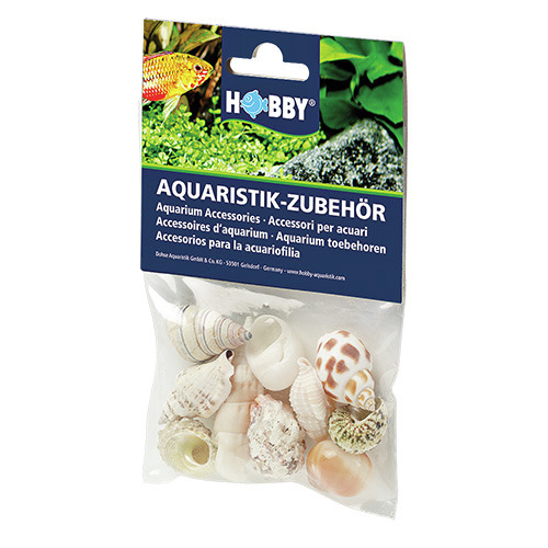 HOBBY Aquaristik-Zubehör: Deko-Muscheln & Schneckenhäuser für Aquarienbesitzer, ideal zur Gestaltung von Aquarien.