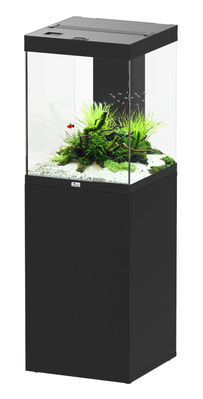Aquatlantis Style LED 60 Aquarium, schwarz, für Aquaristik-Enthusiasten, inkl. Pflanzen, Kies, Fische, stilvoll, modern.