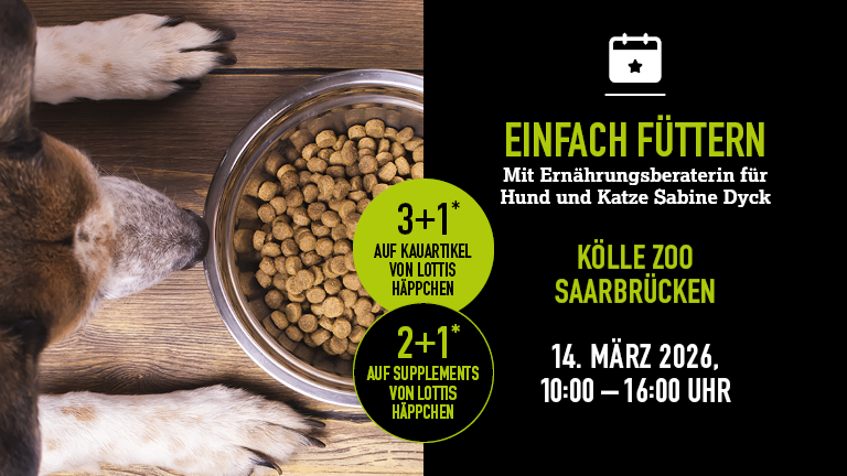 140326 Ernhrungsberatung Saarbrcken Mobile 768x432px