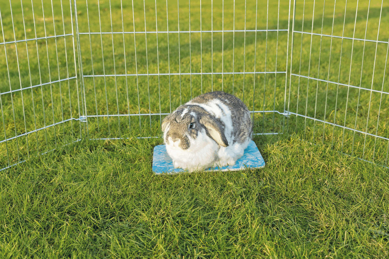 Das Bild zeigt ein Kaninchen, das auf einer blauen Kühlmatte innerhalb eines Freigeheges sitzt. Es handelt sich um die TRIXIE Kühlmatte für Kleintiere, speziell für Kaninchen und andere kleine Haustiere. Die Matte bietet an heißen Tagen eine angenehme Abk
