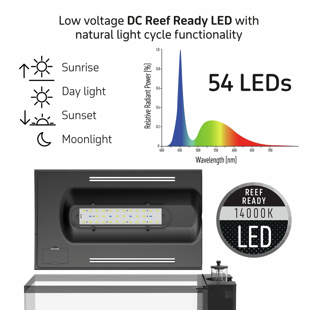 TMC  The First Wave 78l Aquarium Bild 3