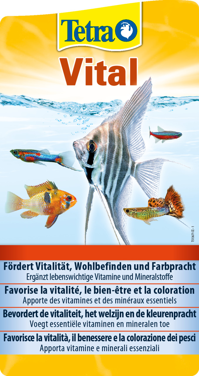 Das Bild zeigt das Produkt "Tetra Vital" der Marke Tetra, ein Ergänzungsmittel für Zierfische. Es richtet sich an Aquarienbesitzer und fördert die Vitalität, das Wohlbefinden und die Farbintensität der Fische. Enthält essenzielle Vitamine und Mineralstoff