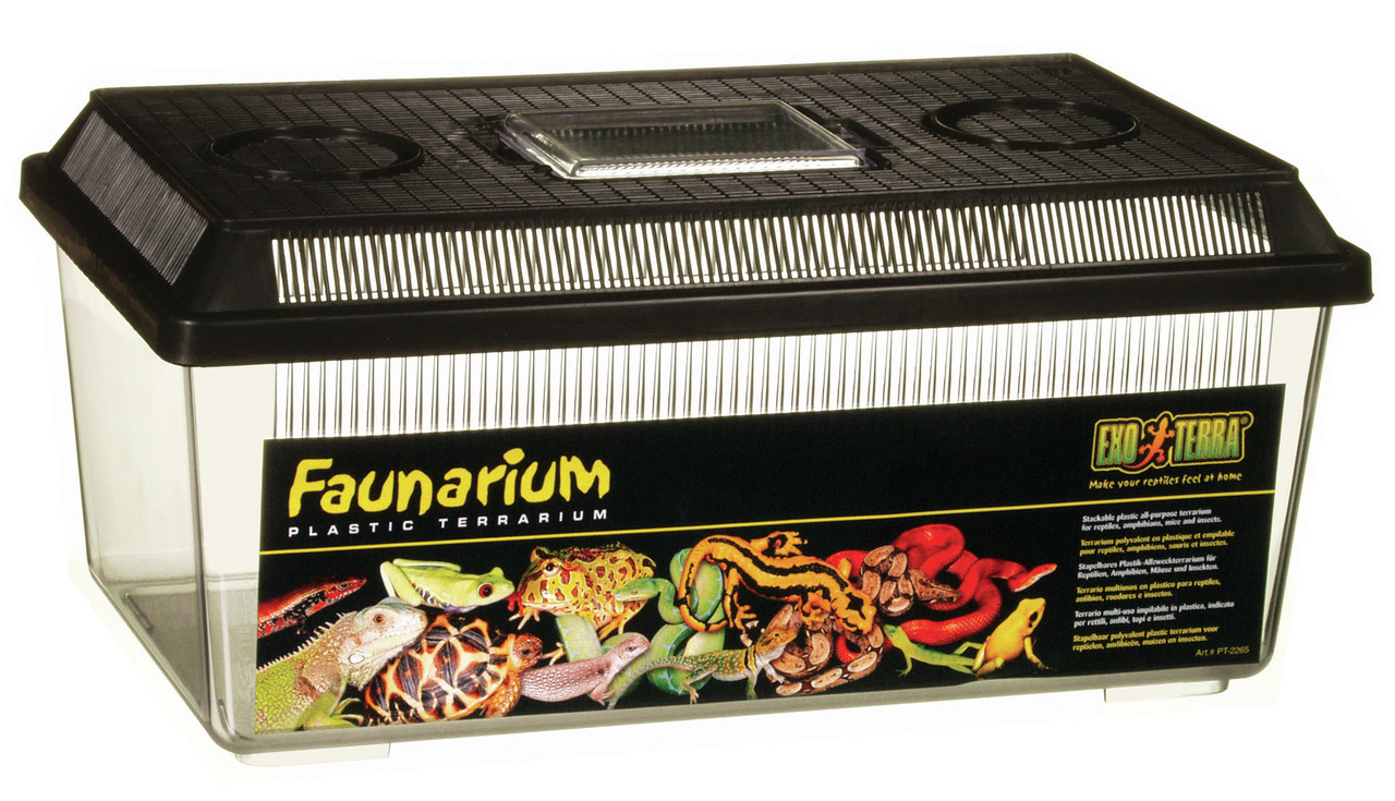 Exo Terra Faunarium: Tragbares Kunststoff-Terrarium f. Reptilien, Amphibien & kl. Tiere, rechteckig, 1 Stk., schwarz, transparent.