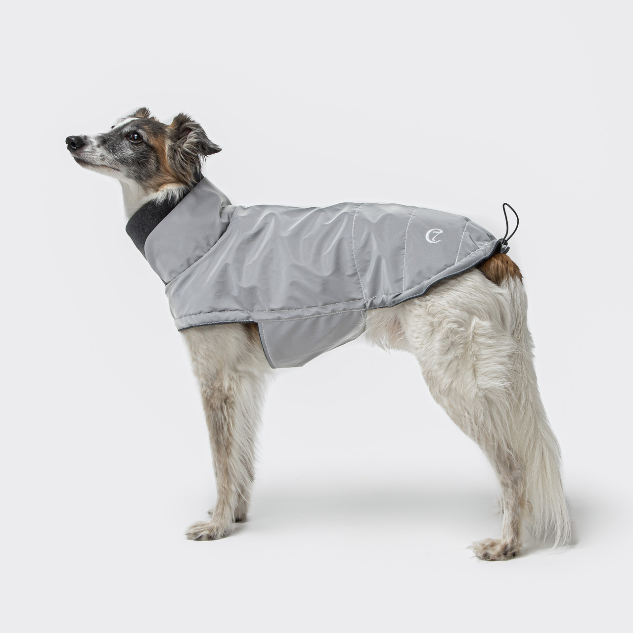 Ein eleganter Windhund trägt den Cloud7 Hundemantel "Brooklyn" in Grau, der speziell für mittelgroße bis große Hunde entwickelt wurde. Der Mantel bietet Schutz vor Kälte und Regen, ist wasserabweisend und hat ein weiches Innenfutter. Perfekt für den Winte