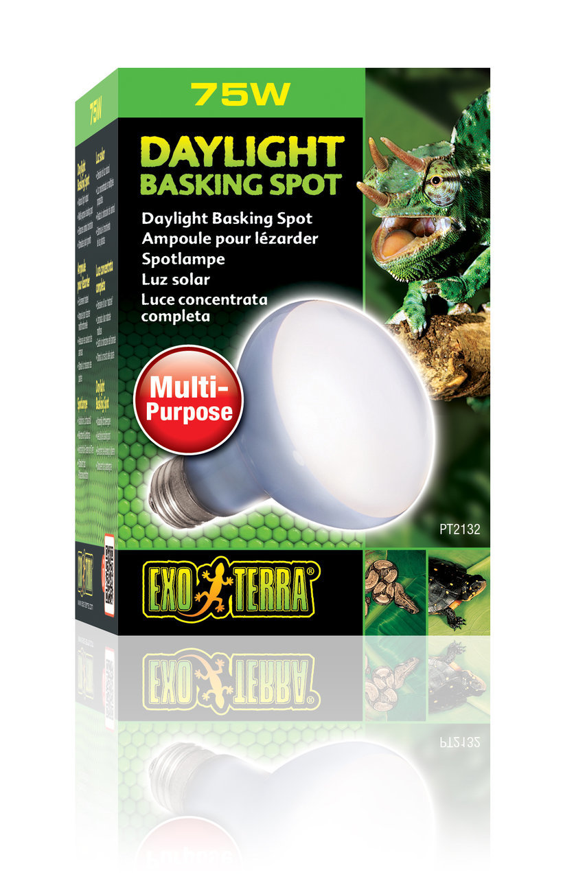 Exo Terra Daylight Basking Spot 75 Watt Terrarienbeleuchtung