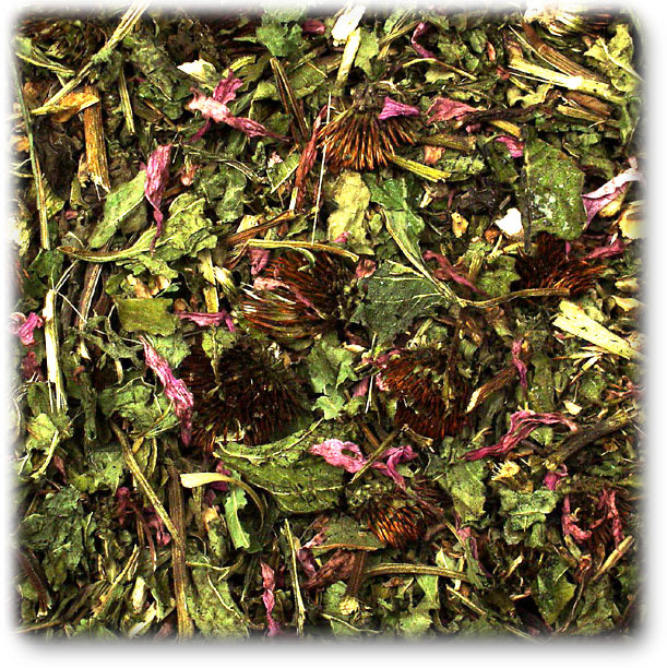 JR FARM Echinacea, für Nager & Zwergkaninchen, getr. Kräuter, Blätter & Blüten, immunstärkend, 100g.