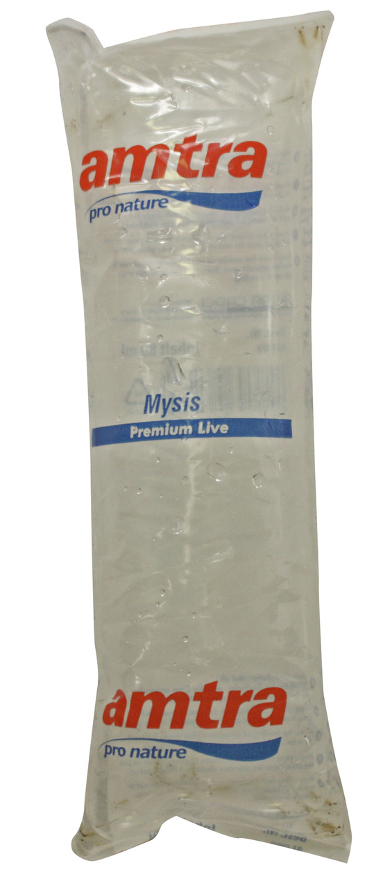 amtra Mysis Premium Live, Lebendfutter für Zierfische, hochwertige Qualität, Zielgruppe: Aquarienbesitzer, Inhalt: Mysis-Krebse.
